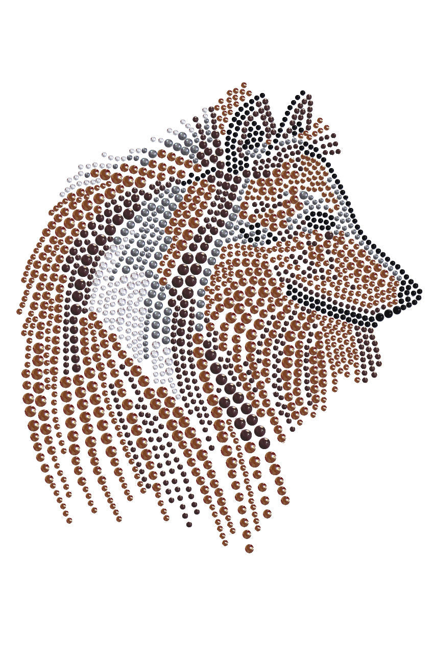 Collie Face - Womens T-shirt