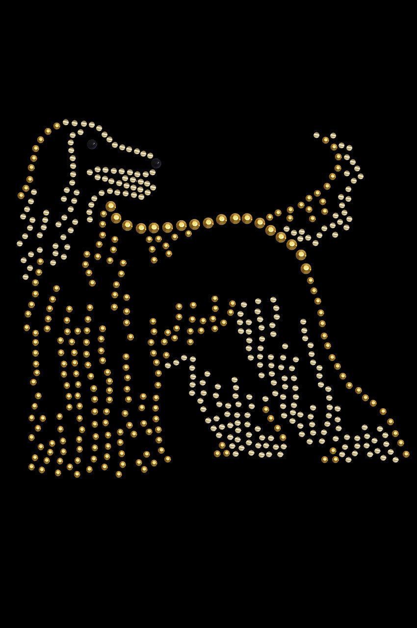 Afghan Hound - bandana