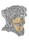 Rottweiler - Women's T-shirt