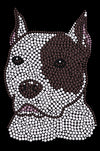 Pit Bull - bandana