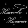 Heavenly Havanese - Women's T-shirt