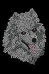 American Eskimo  1 - Women's T-shirt