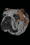 Bulldog Face (Brown) - bandana