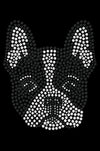 Boston Terrier - bandana