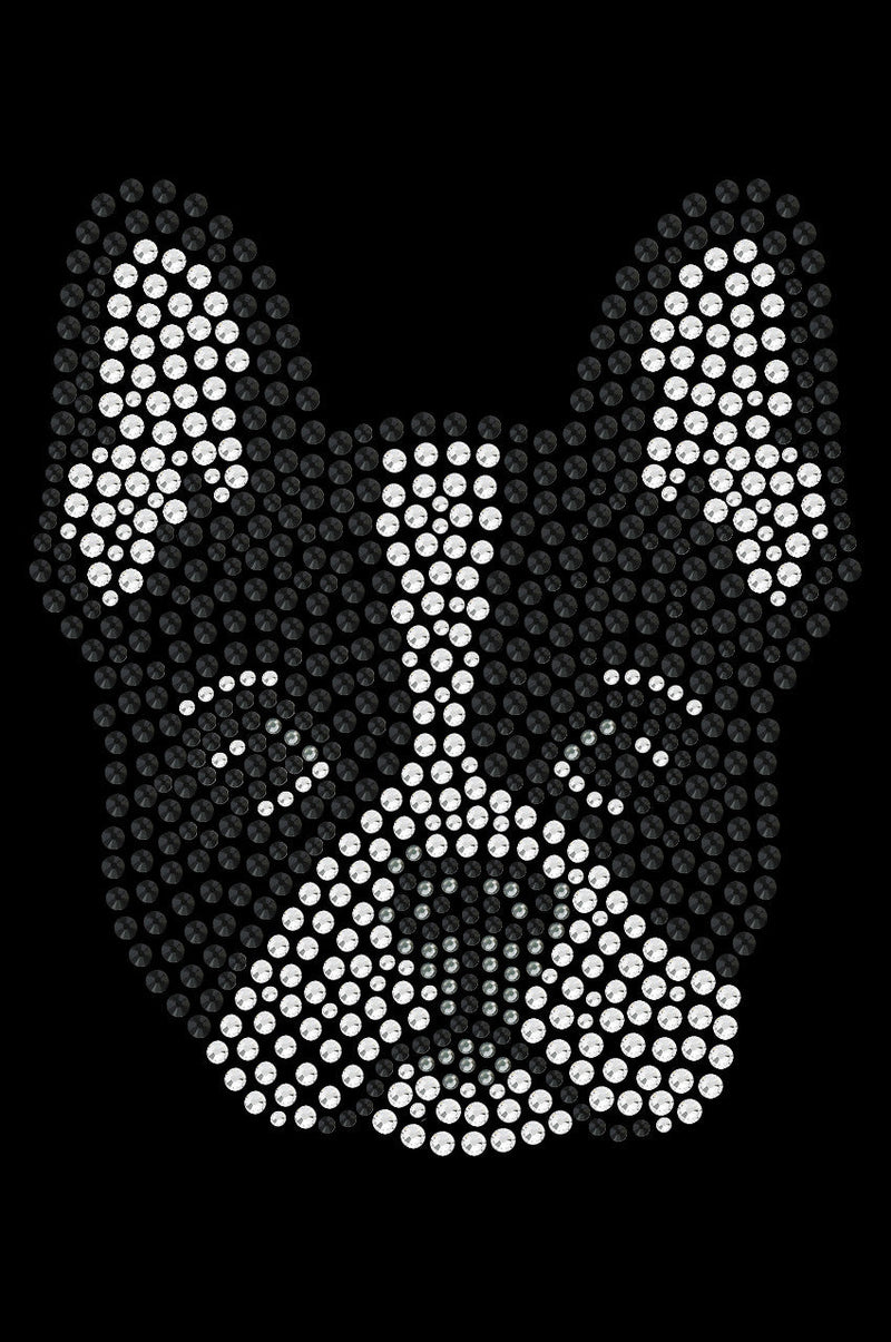 Boston Terrier - bandana