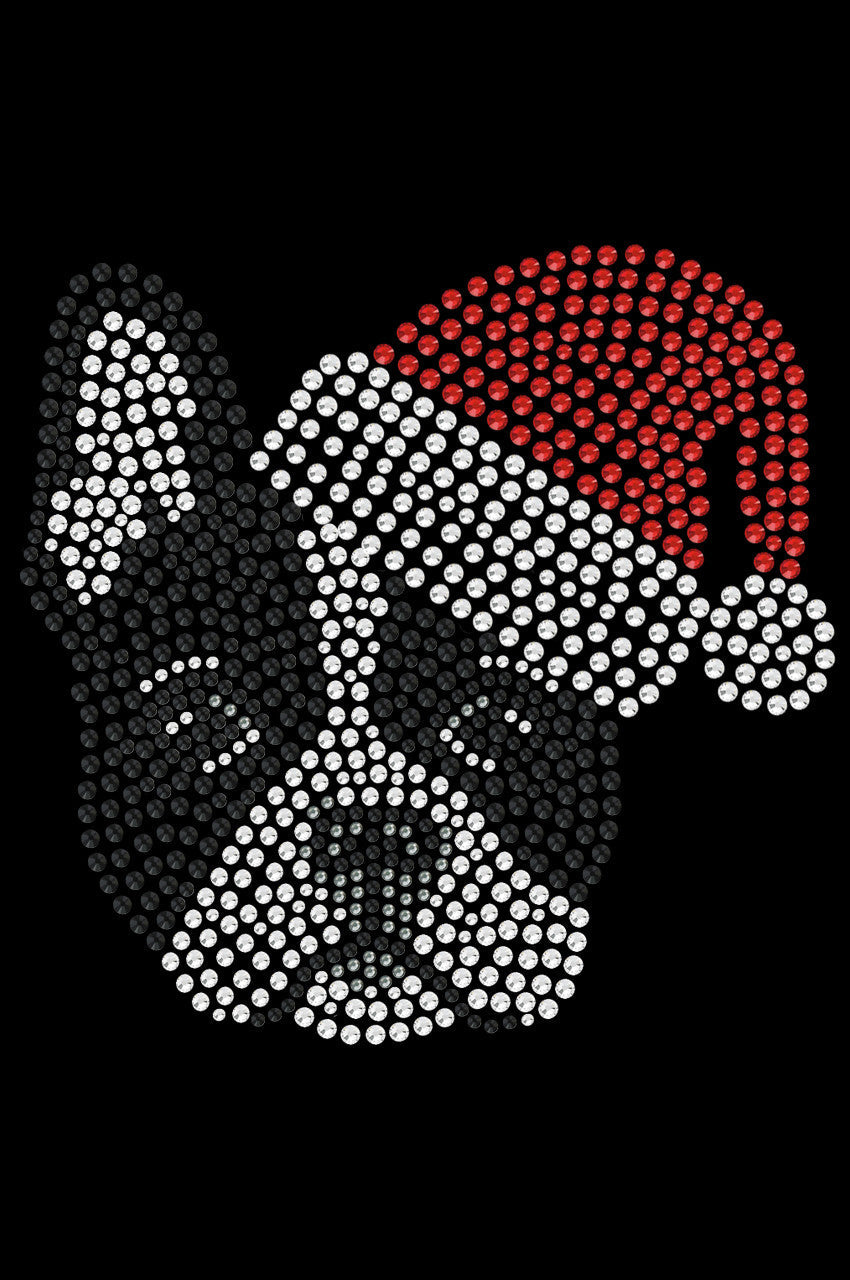 Boston Terrier with Santa Hat - Custom Tutu