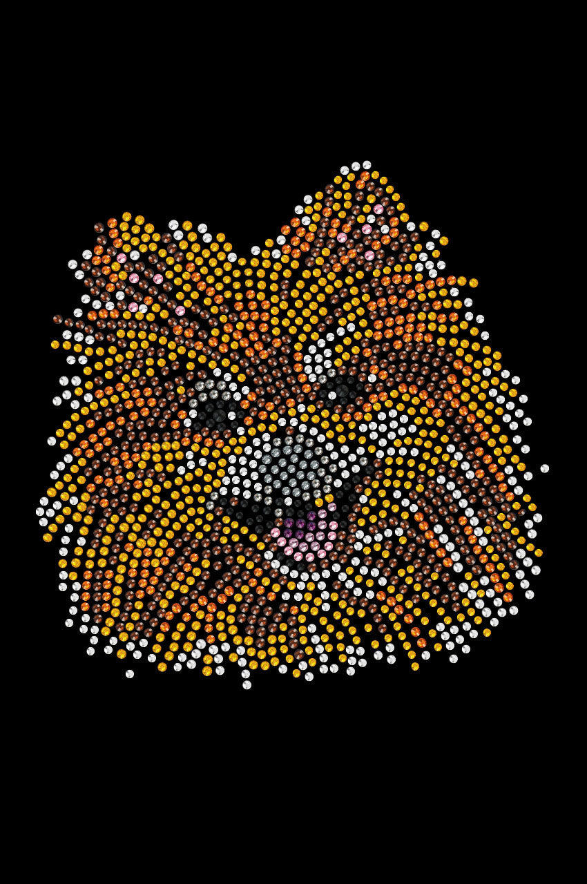 Pomeranian - bandana