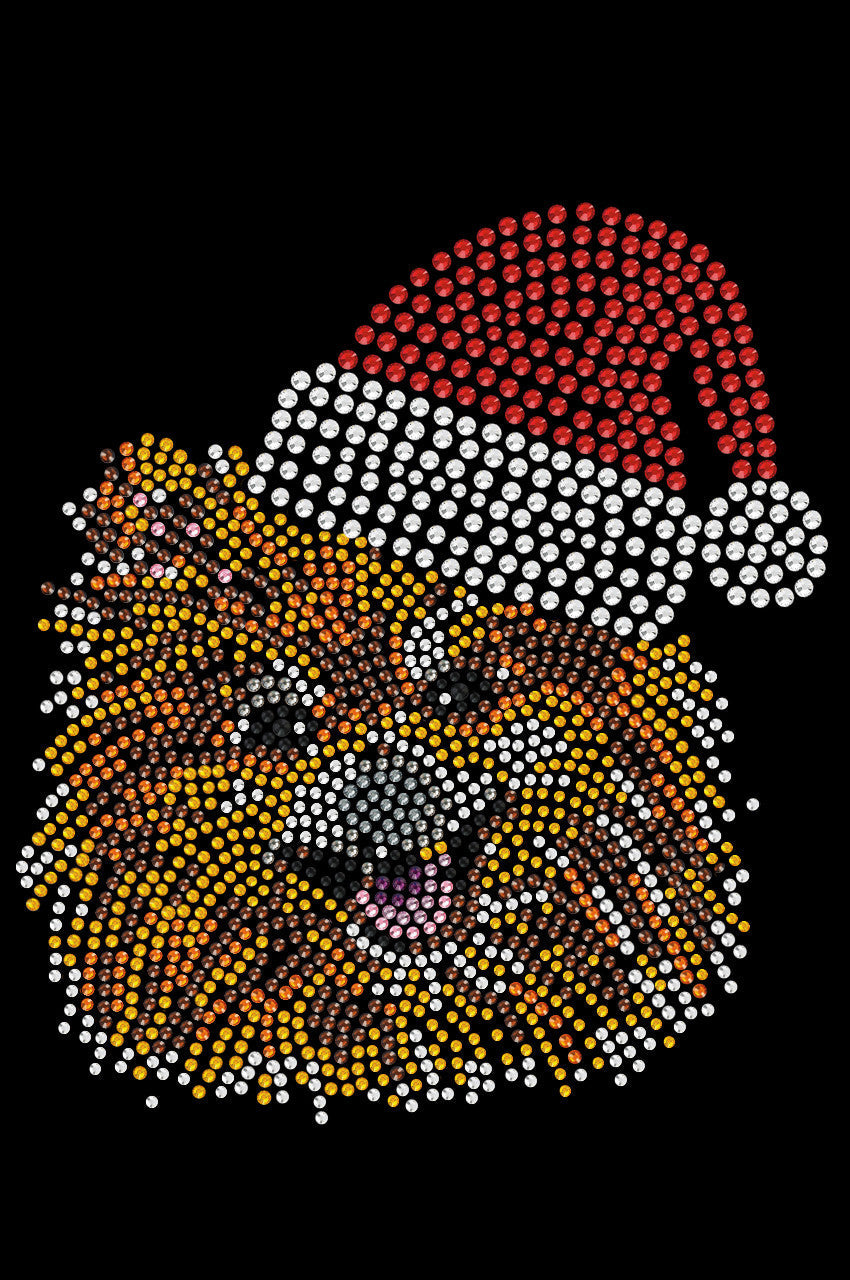 Pomeranian with Santa Hat - Custom Tutu