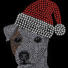 Jack Russell Terrier with Santa Hat - Custom Tutu