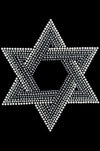 Star of David (Gray and Clear) - Dog Tank