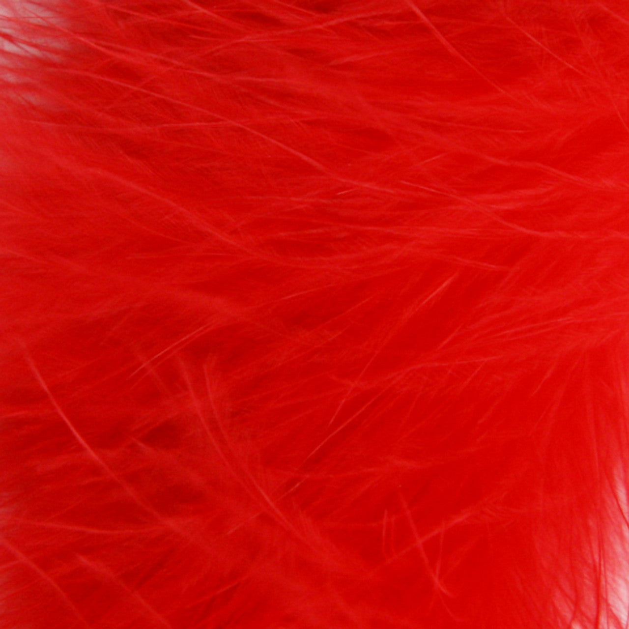 The Hollywood Boa Collars (Harness Vest Sold Separately)