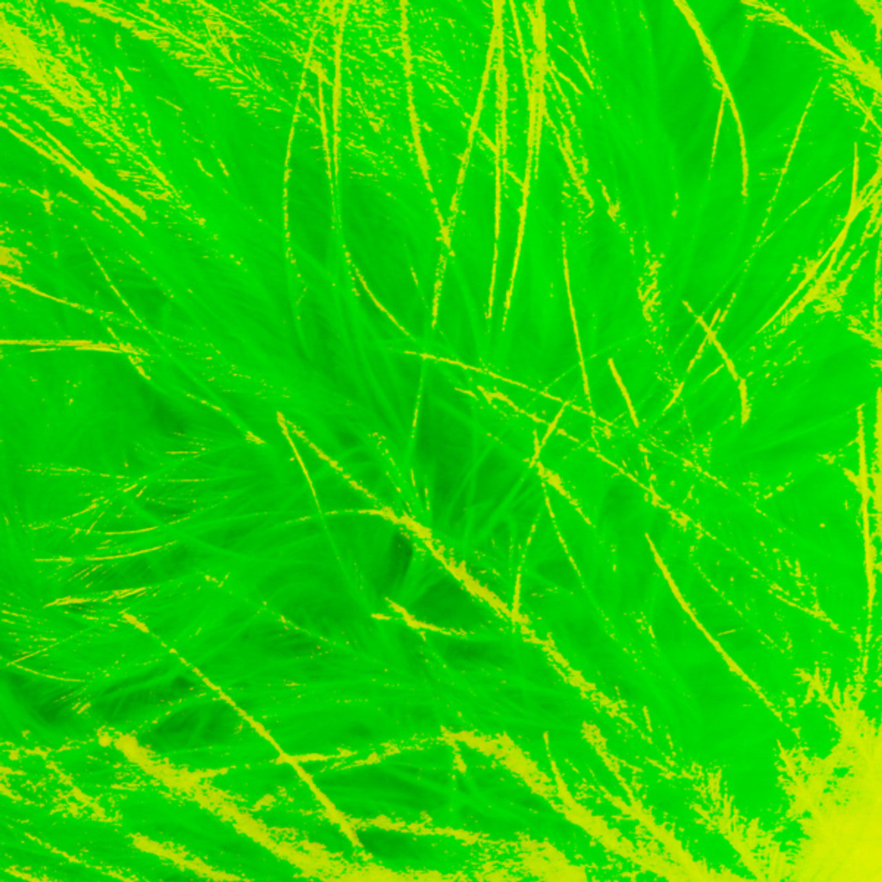 The Hollywood Boa Collars (Harness Vest Sold Separately)