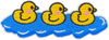 3 Ducks - Patch