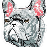 French Bulldog - Patch