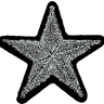 Silver Metallic Star - Patch