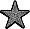 Silver Metallic Star - Patch