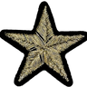 Pewter Metallic Star - Patch