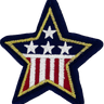 Patriotic Star (Metallic Gold) - Patch