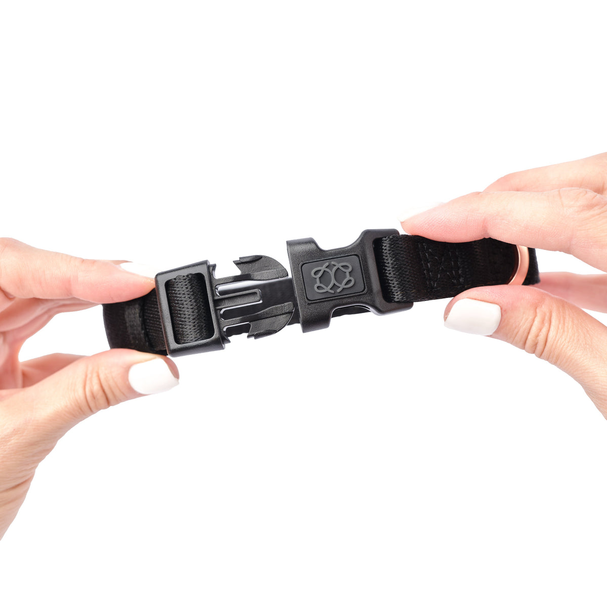 DOGISTRY City Dog Collar - Black