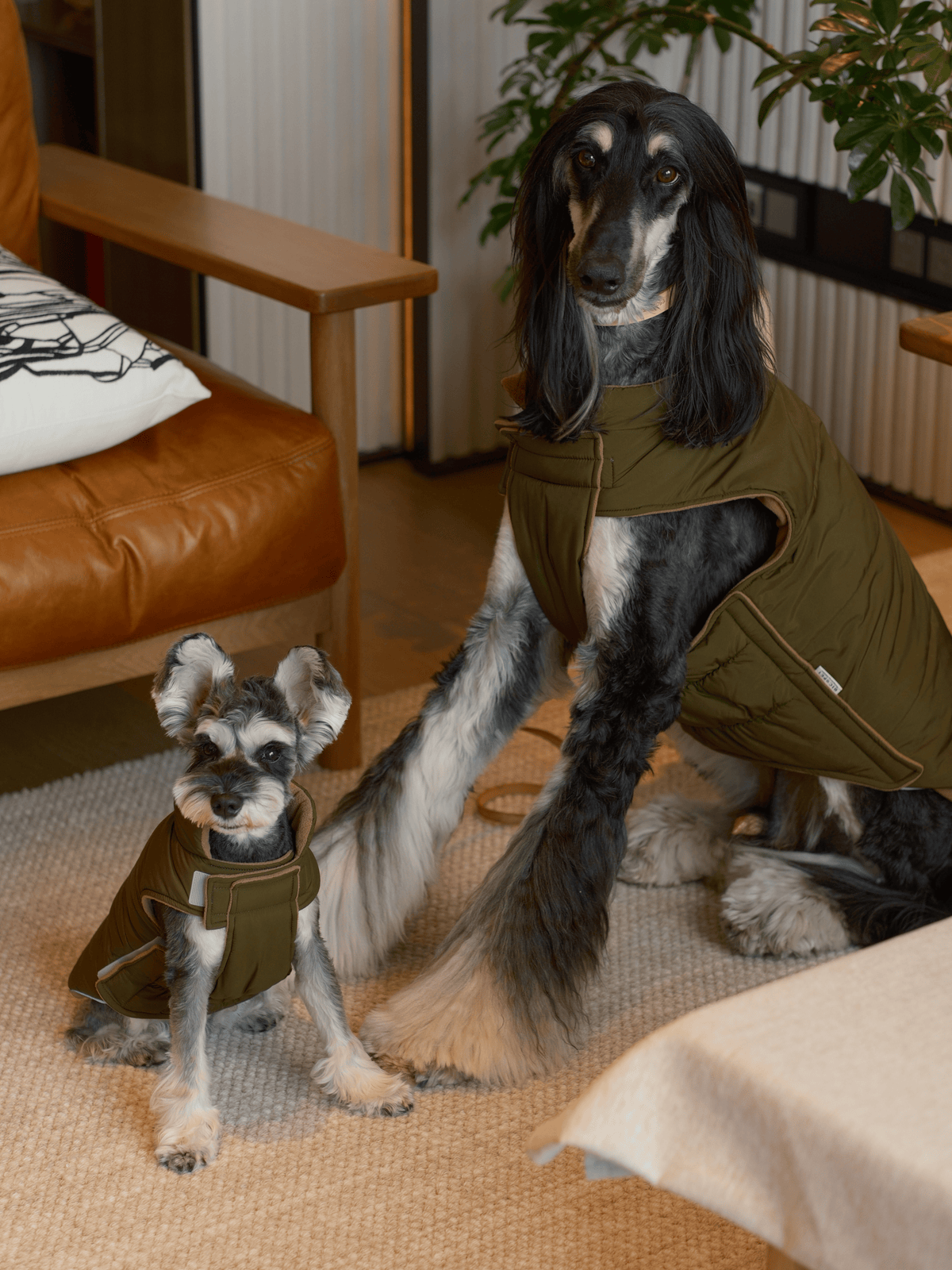 Reversible Dog Vest Jacket-Green Brown