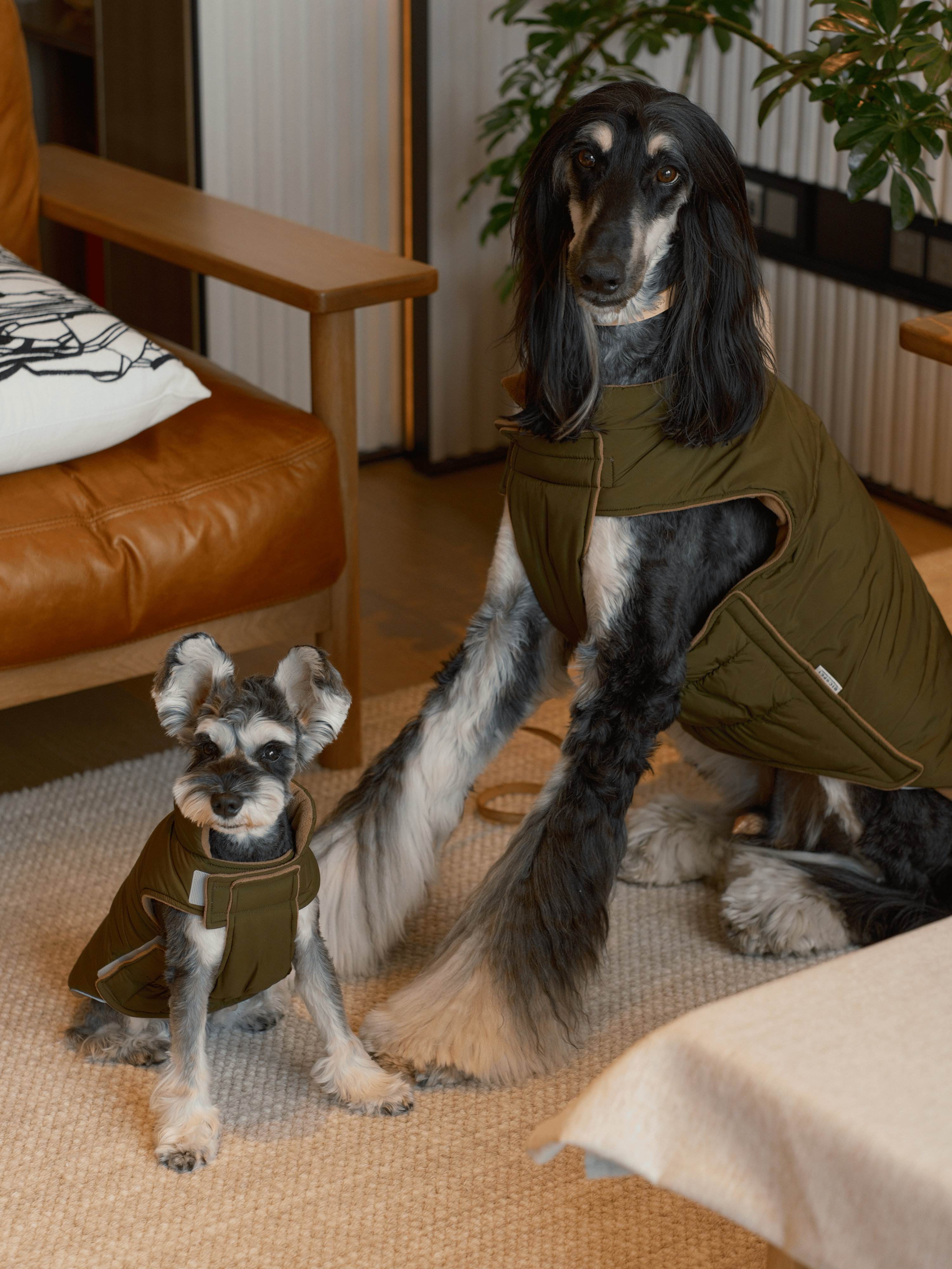 Reversible Dog Vest Jacket-Green Brown