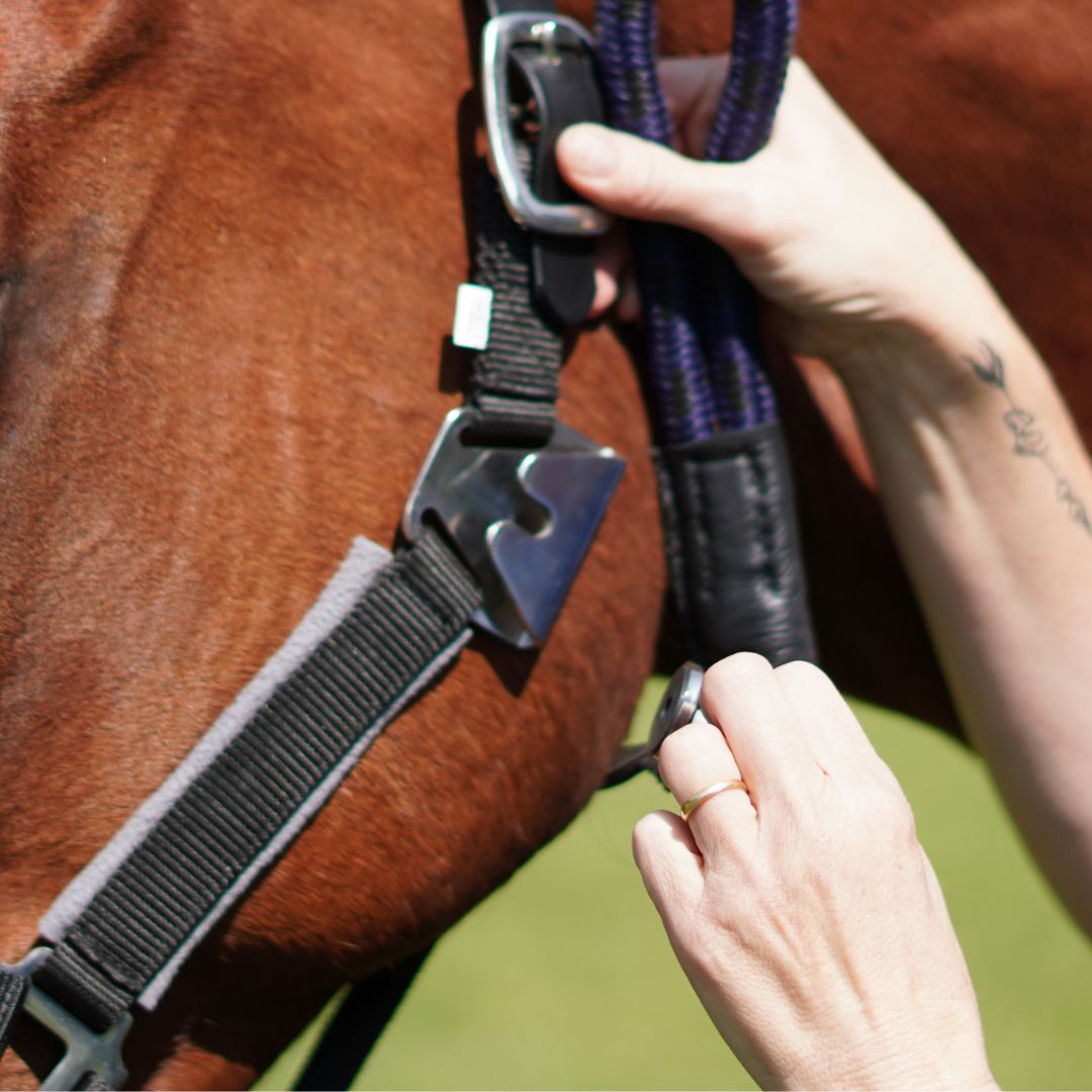 Magna Halter TM in Black with Fleece Noseband and Leather Breakaway