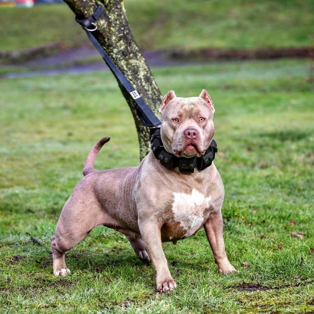 HT Animal Supply