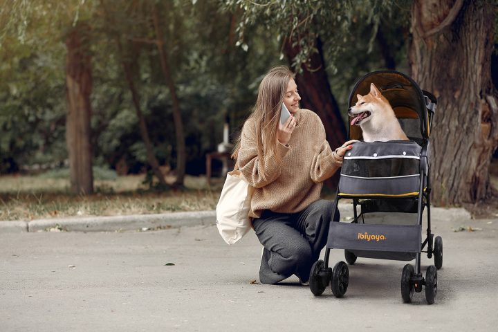 Cloud 9 Pet Stroller