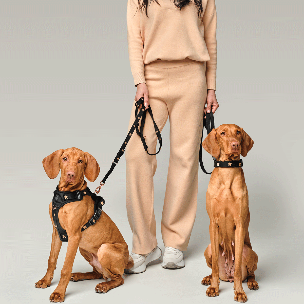 DOGISTRY 3-in-1 City Dog Leash - Rockstar