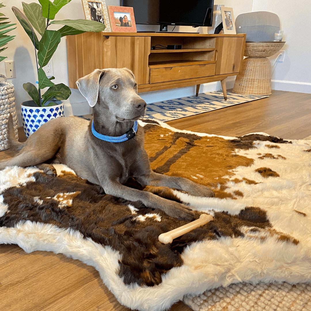 PupRug Animal Print Memory Foam Dog Bed Brown Faux Cowhide