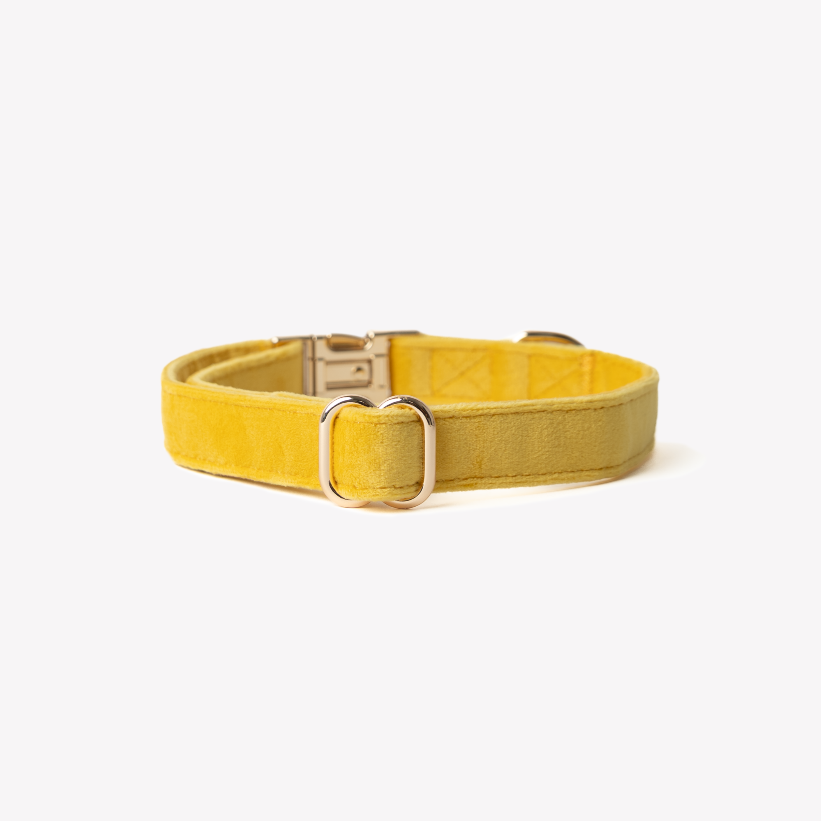 Yellow - Velvet Dog Collar - HT Animal Supply