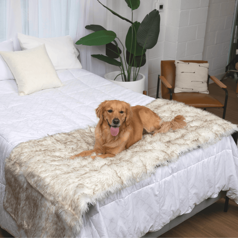 PupProtector Waterproof Bed Runner White with Brown Accents 