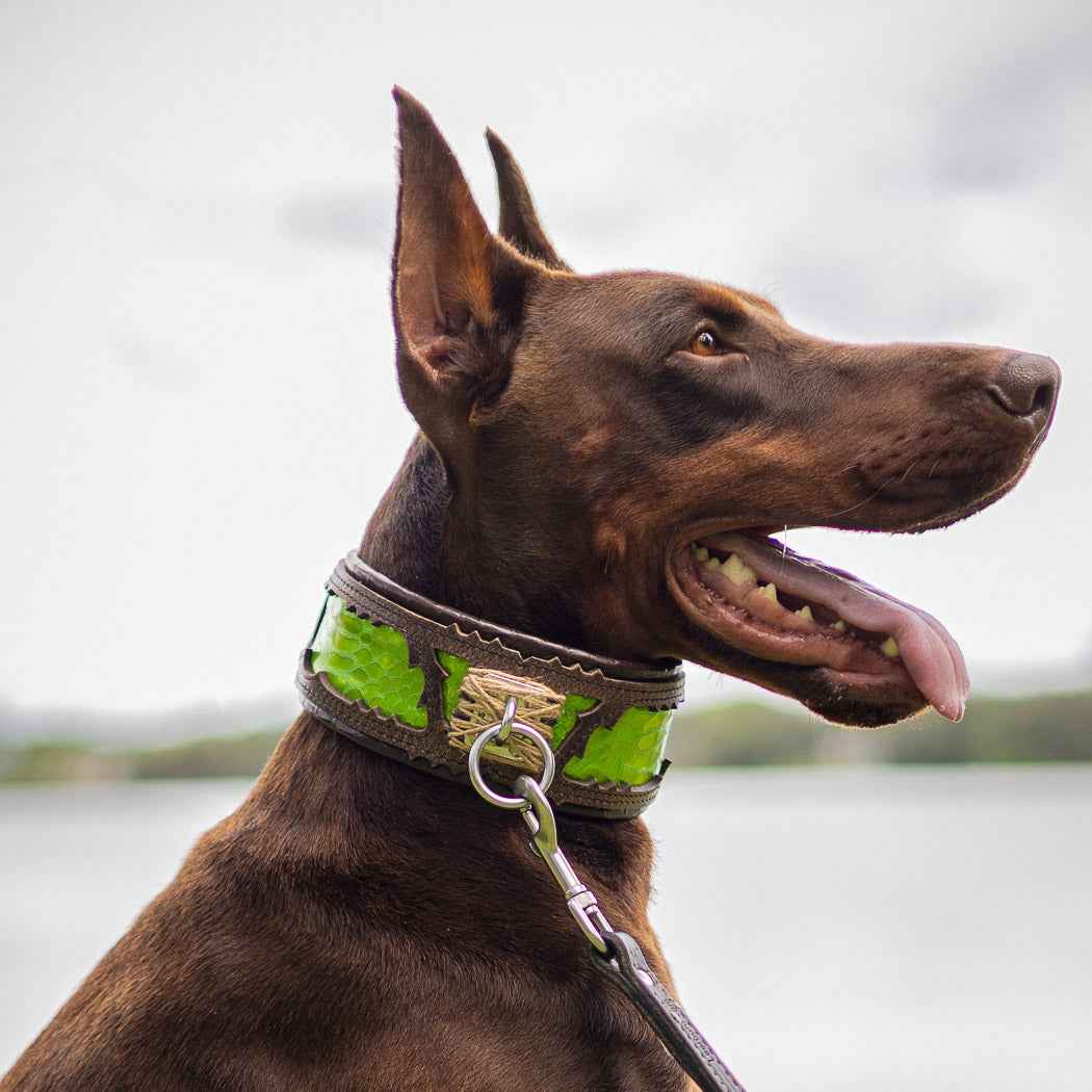 Bestia Venom Leather Dog Collar