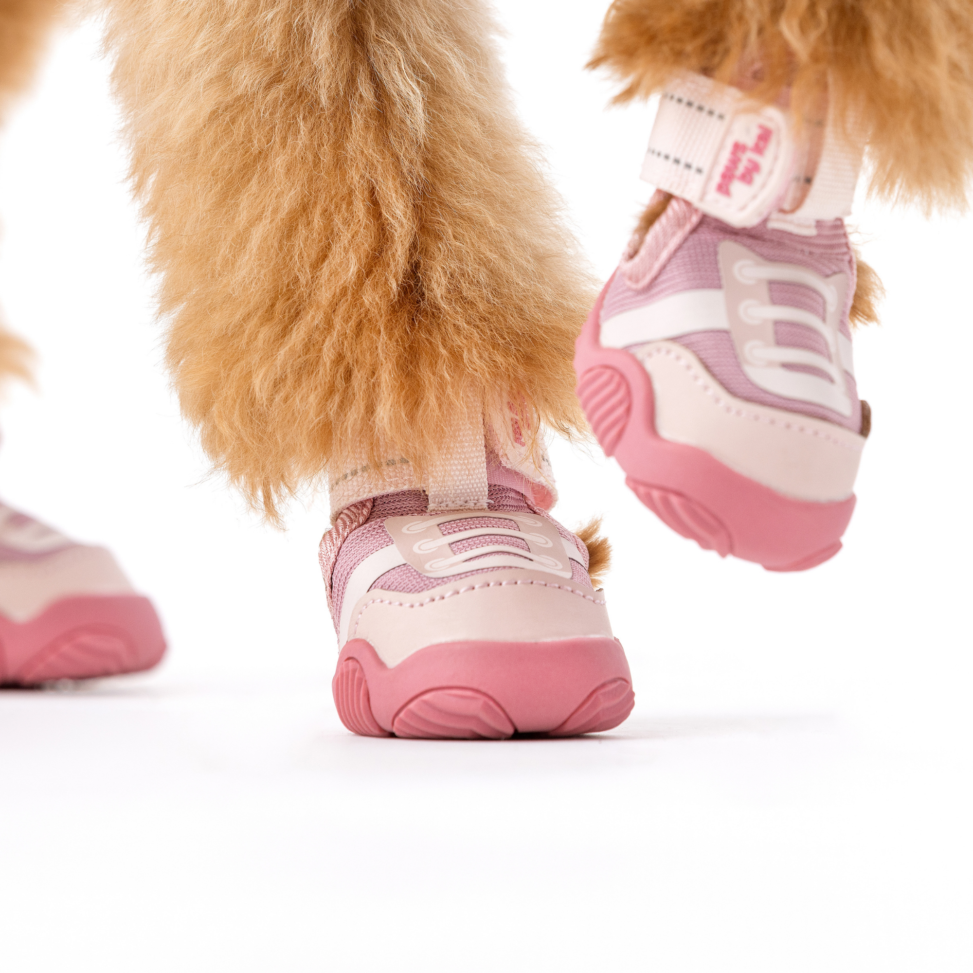 The Kai Dog Shoes