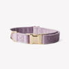 Lilac - Velvet Dog Collar