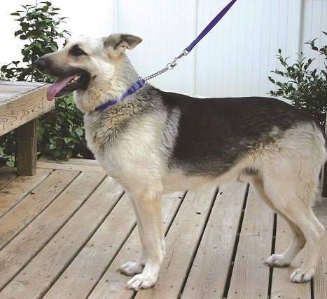 Tender Trainer Collars