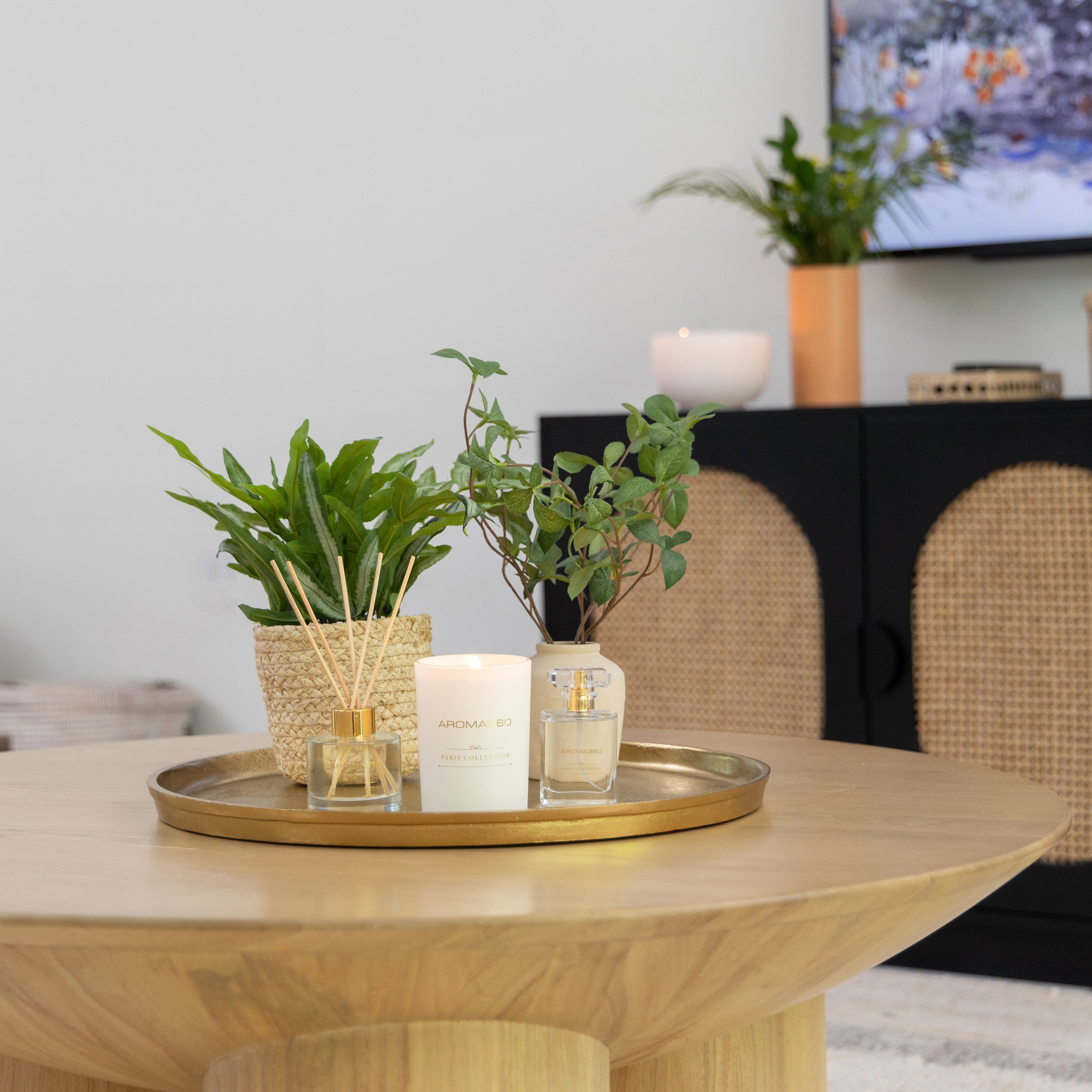 Paris Collection Set - HT Animal Supply