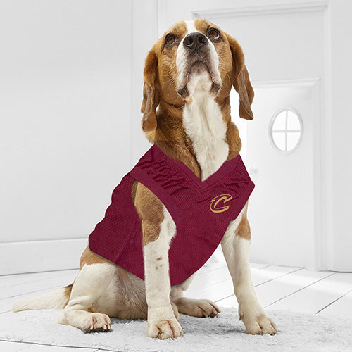 Cleveland Cavaliers Mesh Basketball Jersey by Pets First - HT Animal Supply