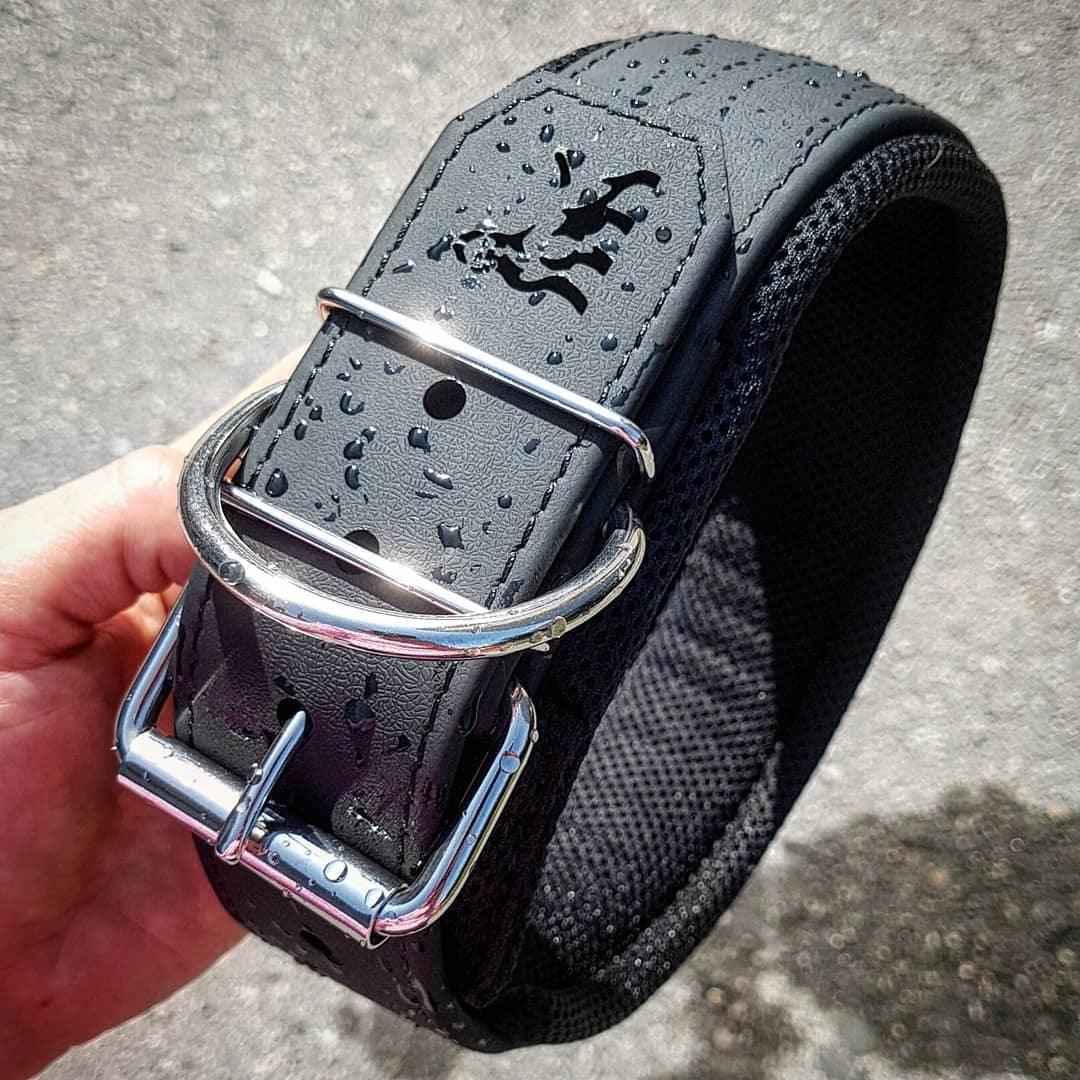 Bestia Dog Sport Collar
