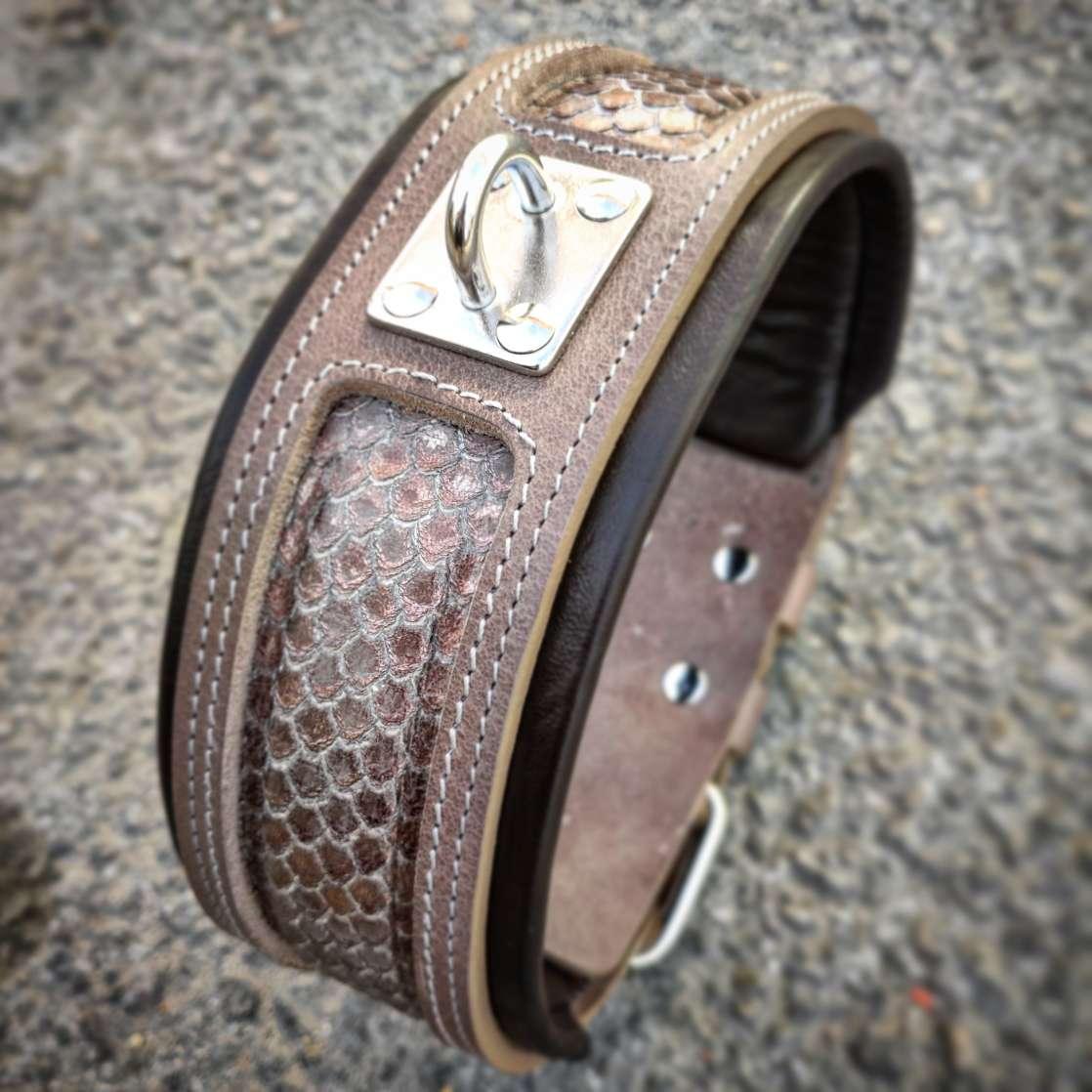 The Python exclusive design