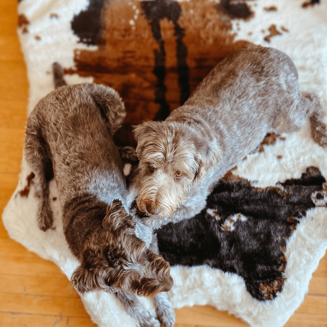 PupRug Animal Print Memory Foam Dog Bed Brown Faux Cowhide