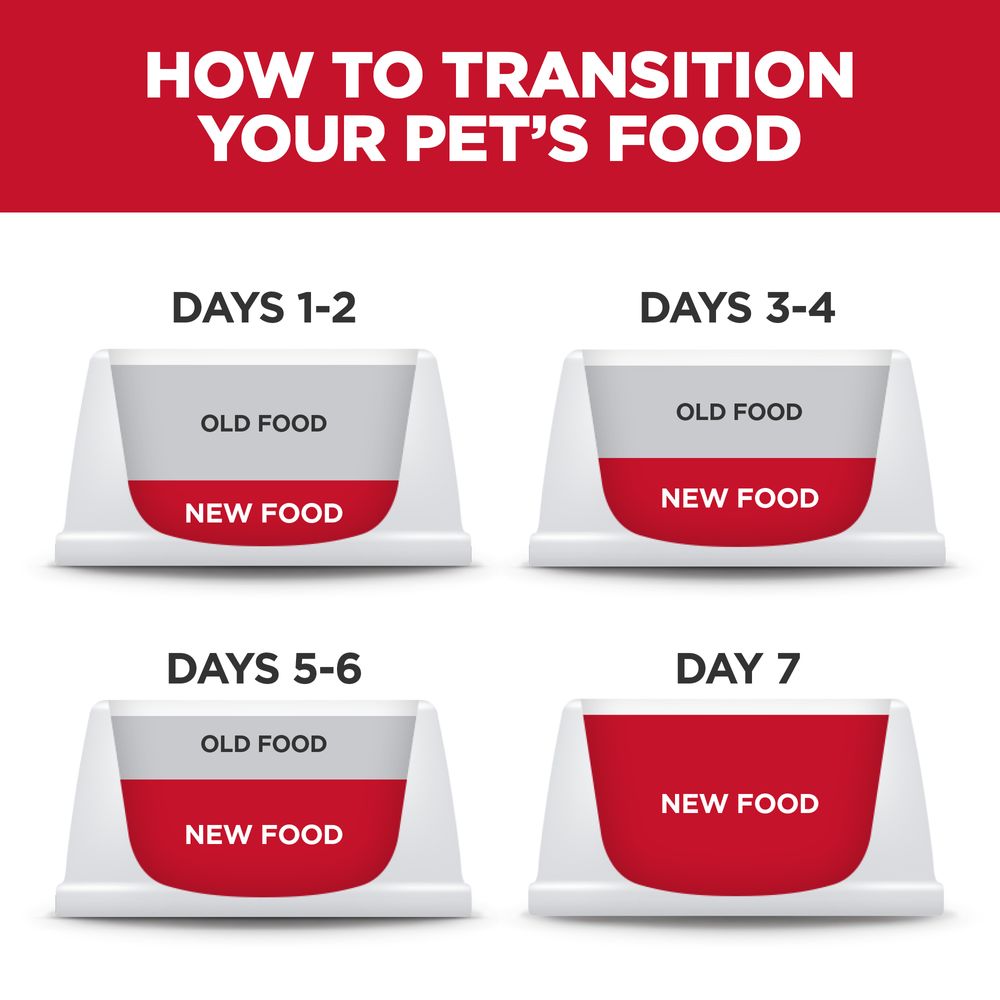 Hills Science Diet Adult Sensitive Stomach & Skin Small & Mini Chicken Recipe Dry Dog Food Bag