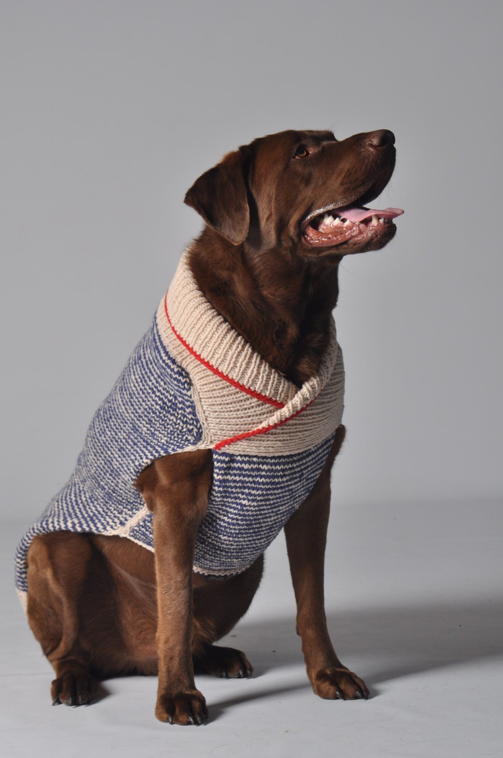 Spencer Wool Dog Sweater