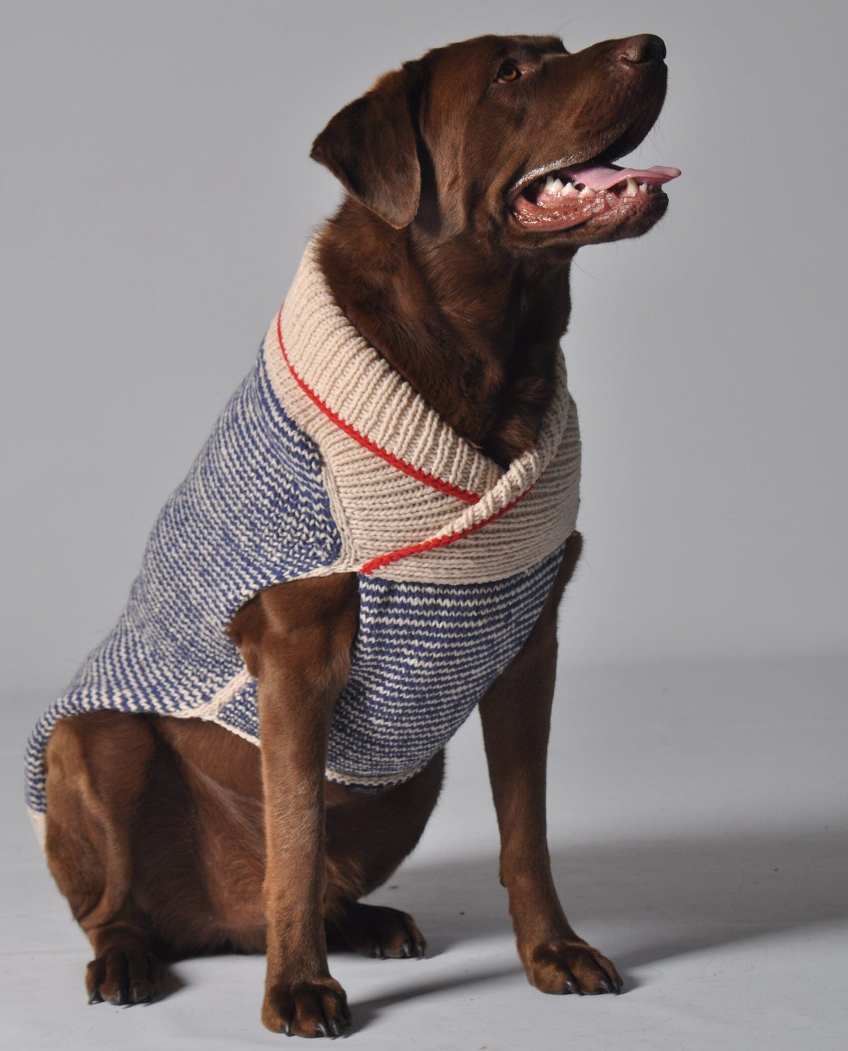 Chilly Dog Spencer Wool Dog Sweater