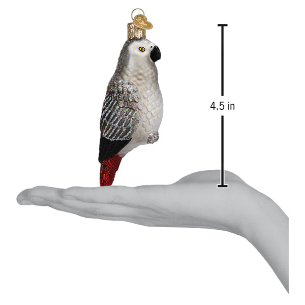Old World Christmas: African Grey Parrot Christmas Ornament