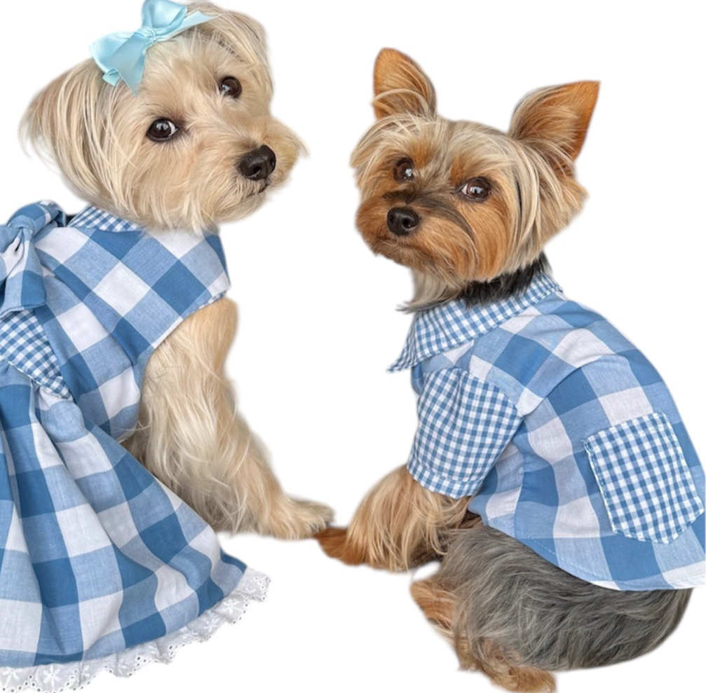 Gingham Picnic Shirt