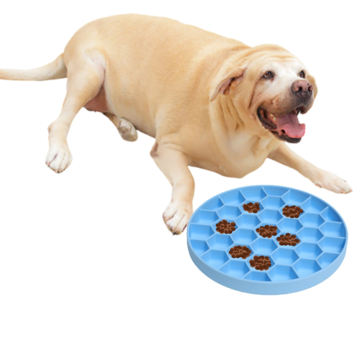 Mr. Peanuts Silicone Slow Feeder Dog Bowl