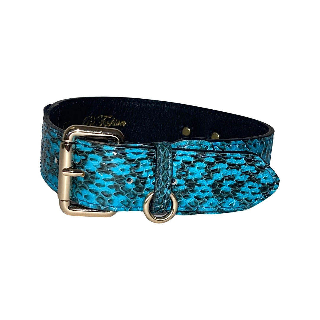 Allysa Payne Turquoise & Black Classic Snake Dog Collar With Gold Hardware