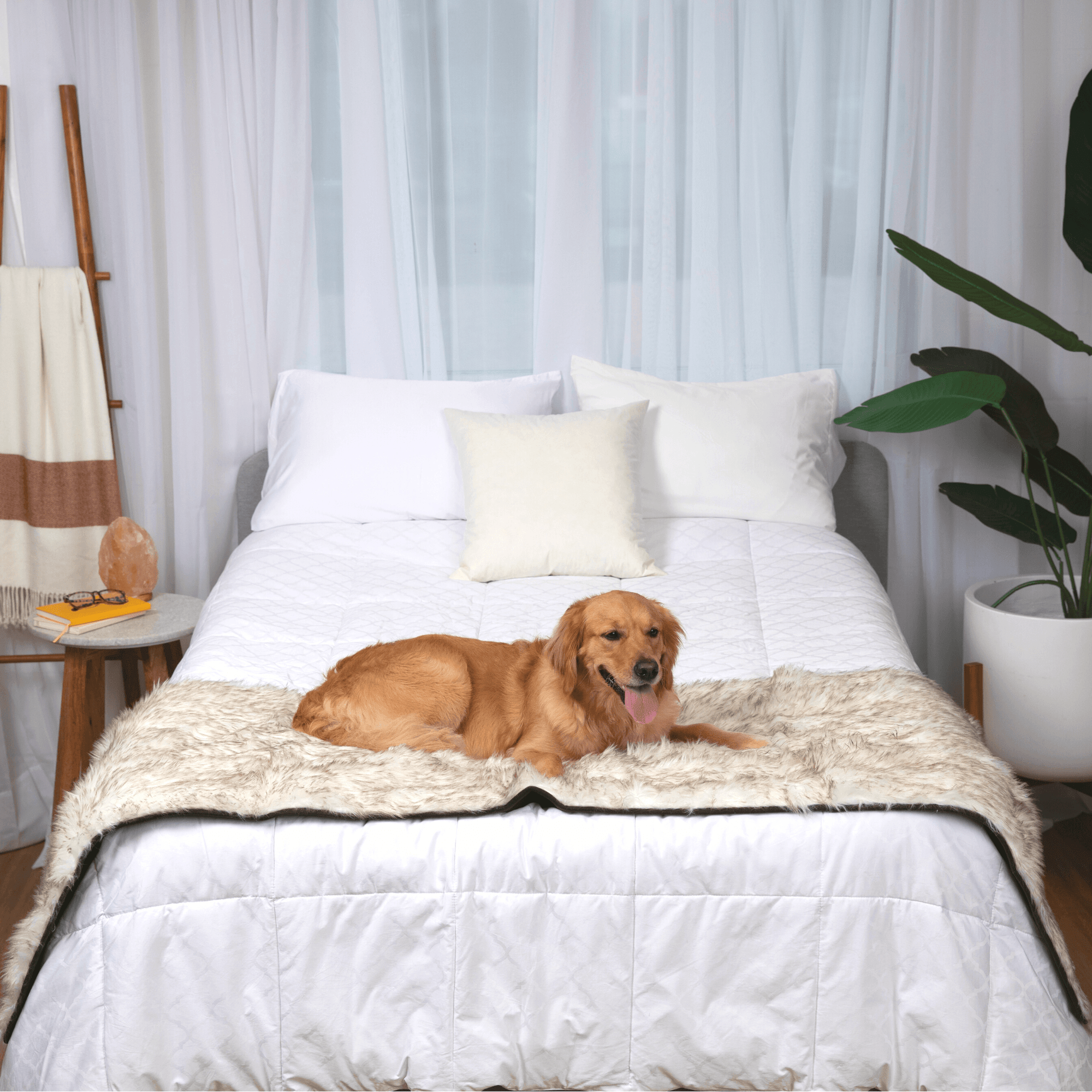 PupProtector Waterproof Bed Runner White with Brown Accents