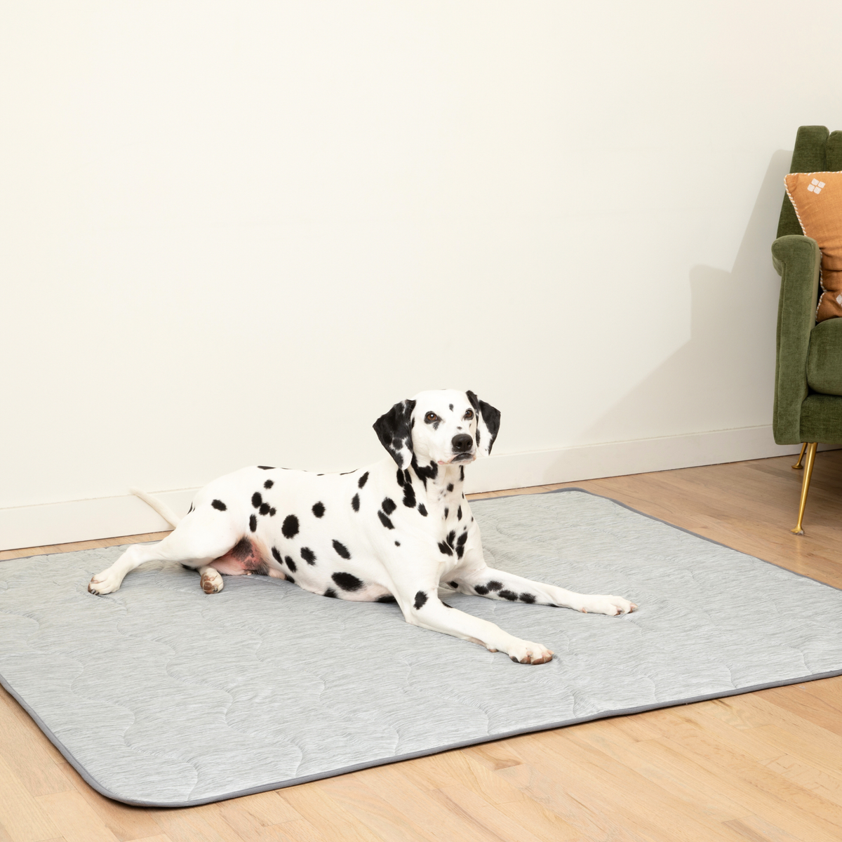 PupChill Cooling Waterproof Blanket Arctic Grey